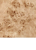 HOLZ HOLZ