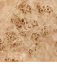 Wood Wood